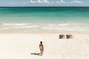 Catalonia Royal Tulum Beach and Spa Resort - All-Inclusive - Adults Only - Riviera Maya, Mexico